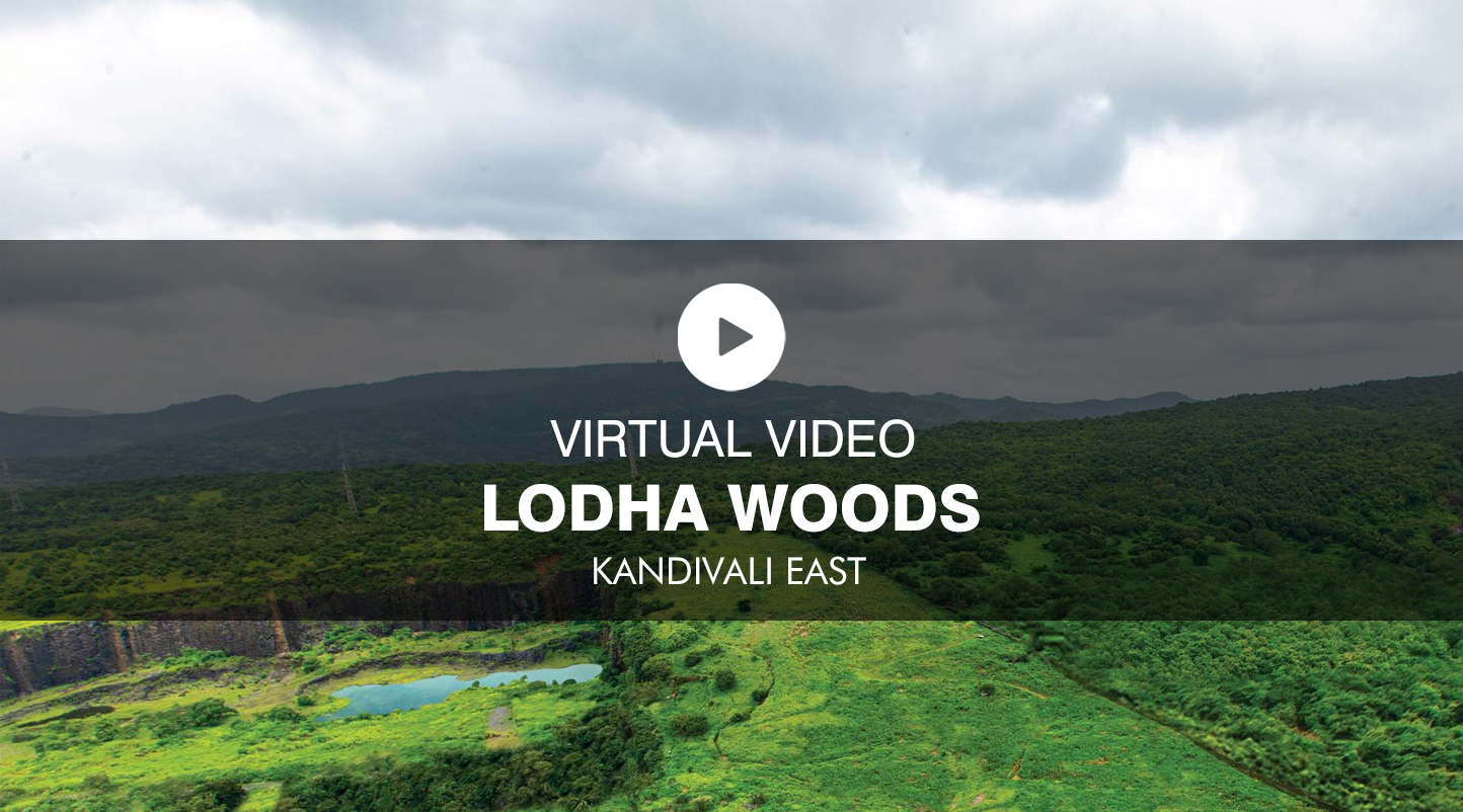 Lodha Woods Virtual Site Visit